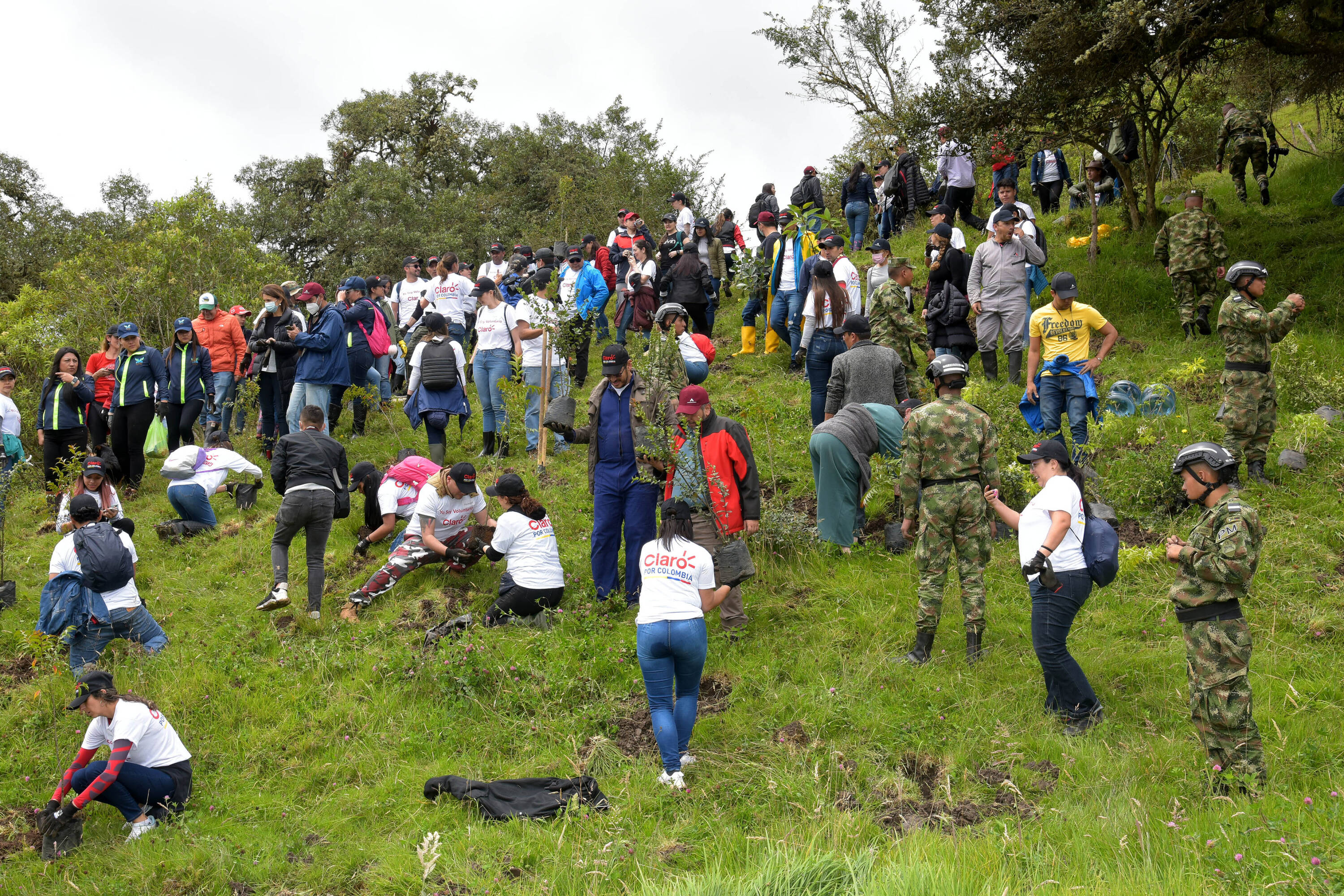 Volunteers from five companies and entities made an ecological corridor for the reforestation of the socha creek