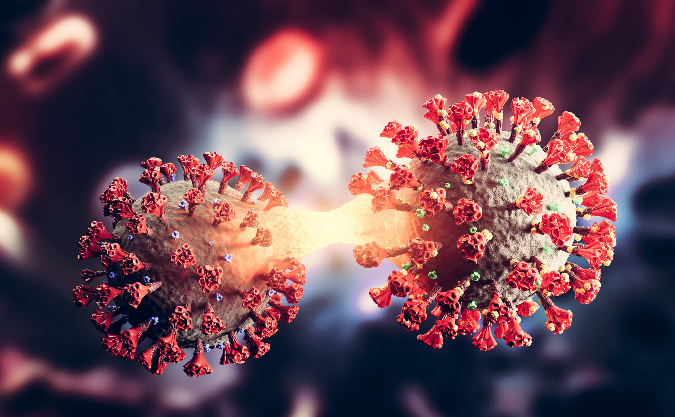 Los científicos creen que puede ser más contagiosa.