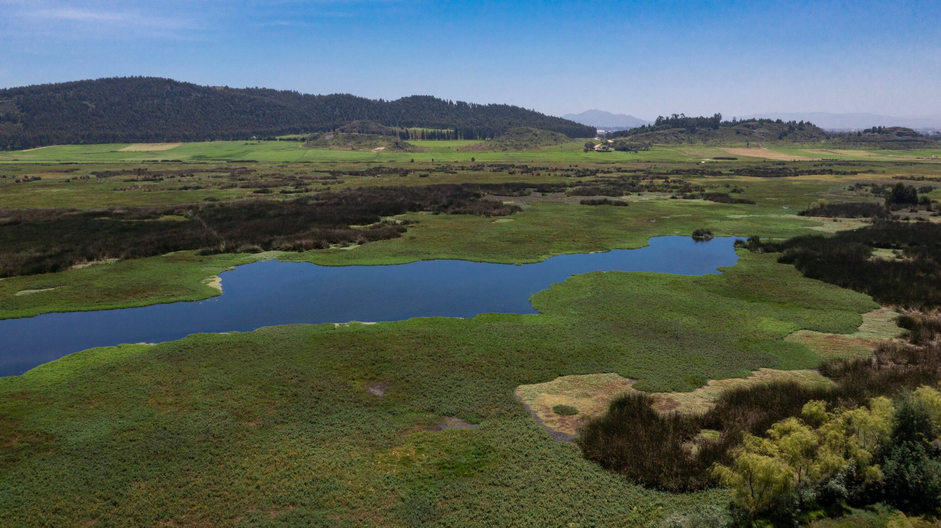 La Herrera, un paraíso natural en la sabana | Crónica