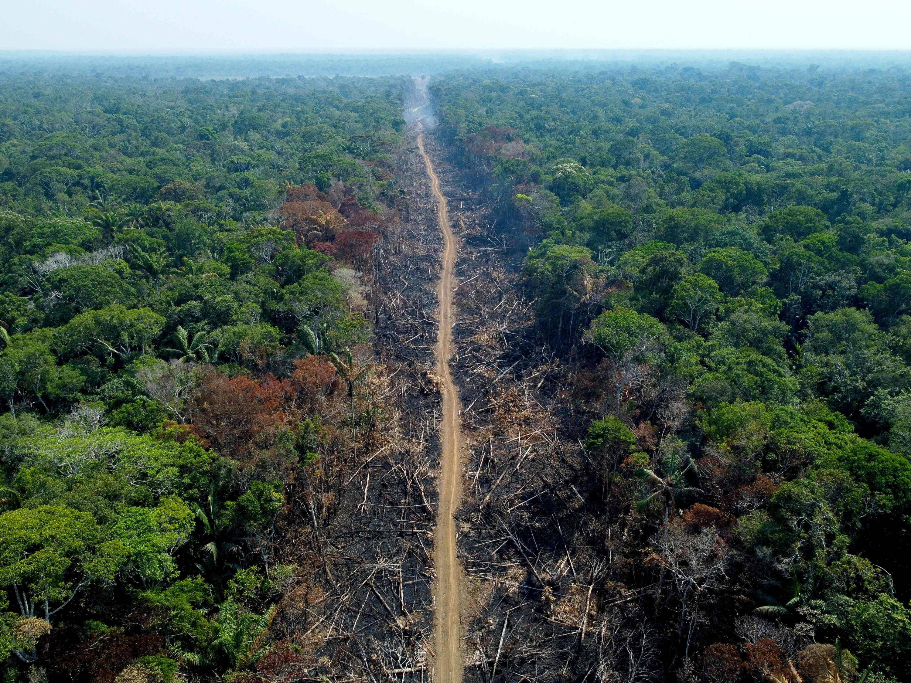 Una zona deforestada y quemada se ve en un tramo de la BR-230 (carretera transamazónica) en Humaitá, estado de Amazonas, Brasil, el 16 de septiembre de 2022. Según el Instituto Nacional de Investigaciones Espaciales (INPE), los focos de incendio en la región amazónica registraron un aumento récord en la primera quincena de septiembre, siendo la media del mes de 1.400 incendios por día.