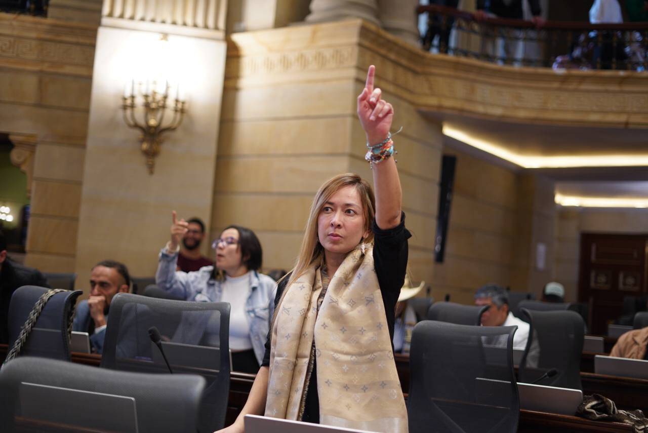 Katherine Miranda, representante a la Cámara durante un debate en el Congreso.