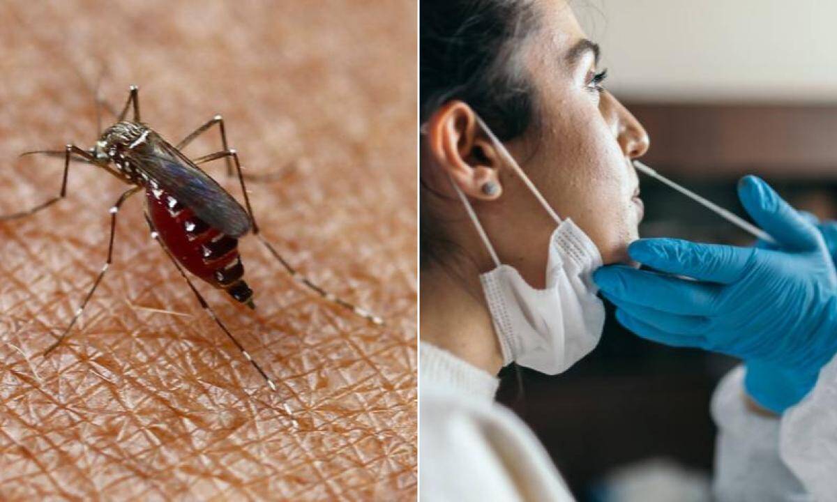 SE Trata del Brote de Dengue Más Fuerte de los Últimos Cinco Años en Perú.