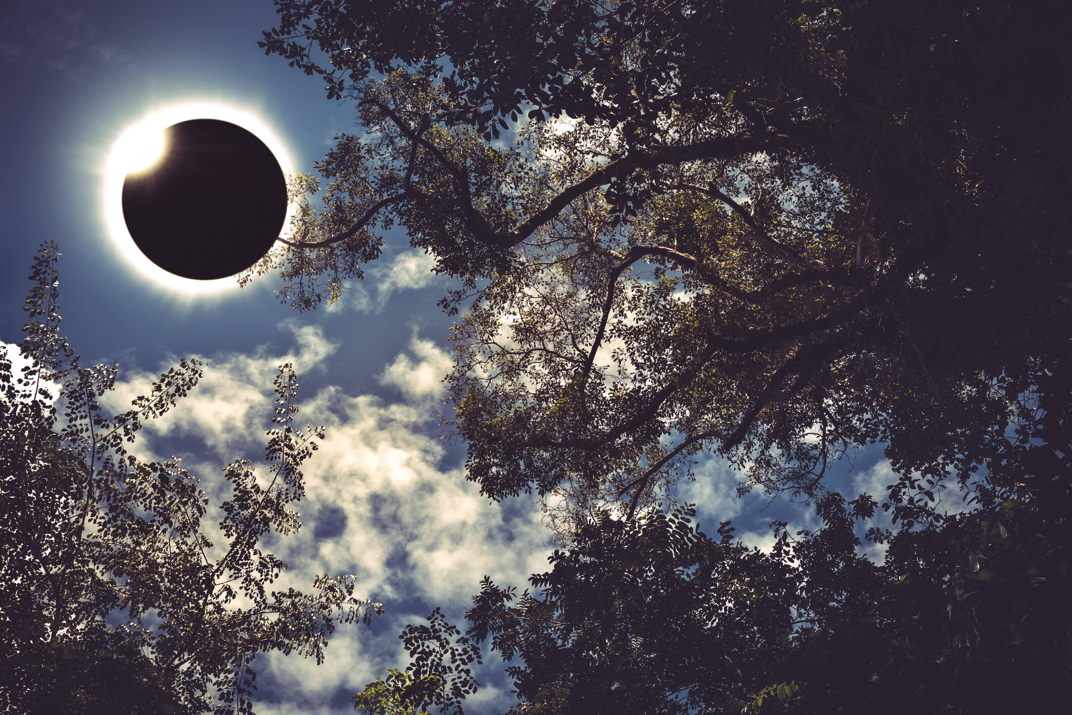 Eclipse solar anular 2024 estos son los países que podrán observar el