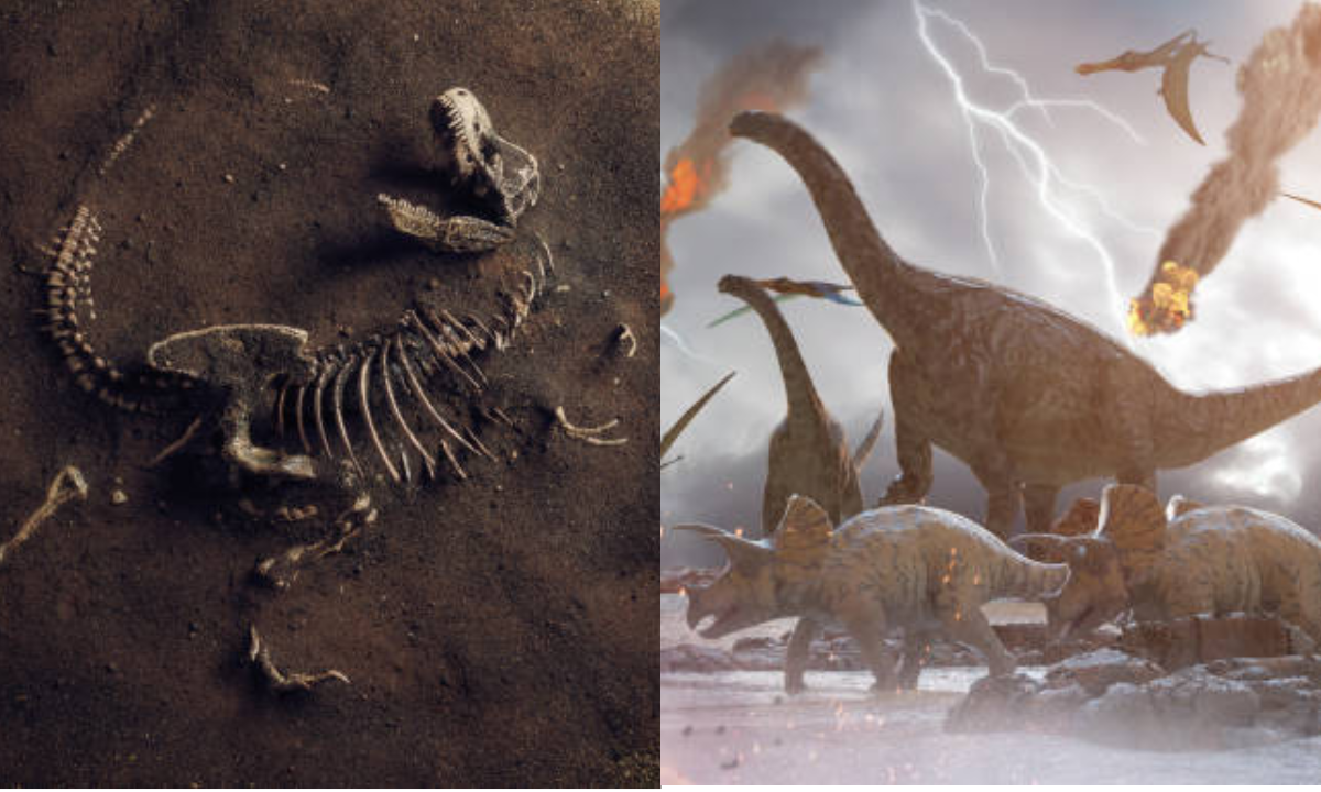 Cuando Existieron Los Dinosaurios Para Niños www.eltiempo.com