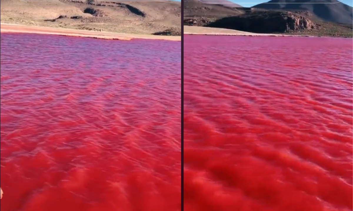 ¿es Verdad Que El Río Nilo Se Tiñó De Rojo Esta Sería La Explicación Al Video Viralemk 6159