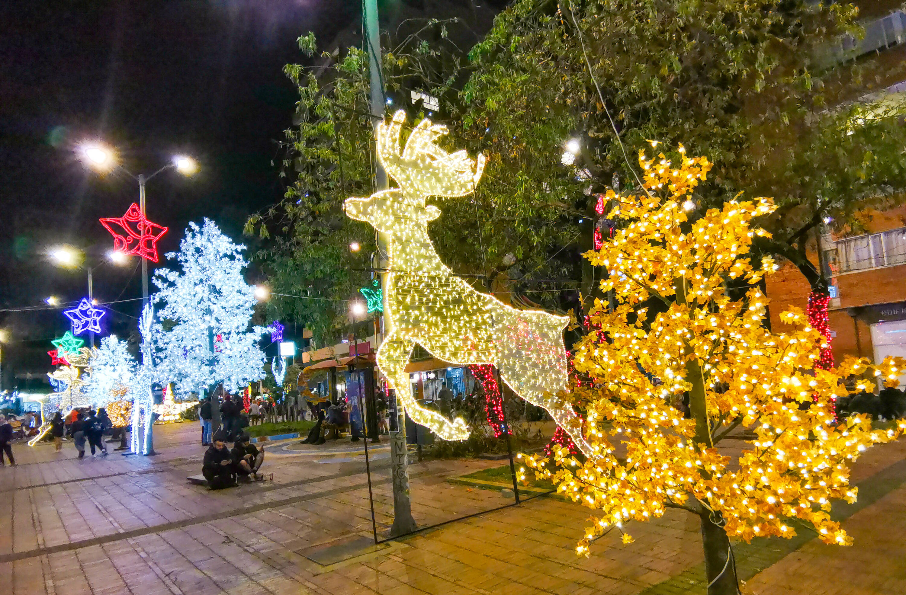 Alumbrados En Colombia Así Se Ve La Navidad En Las Principales