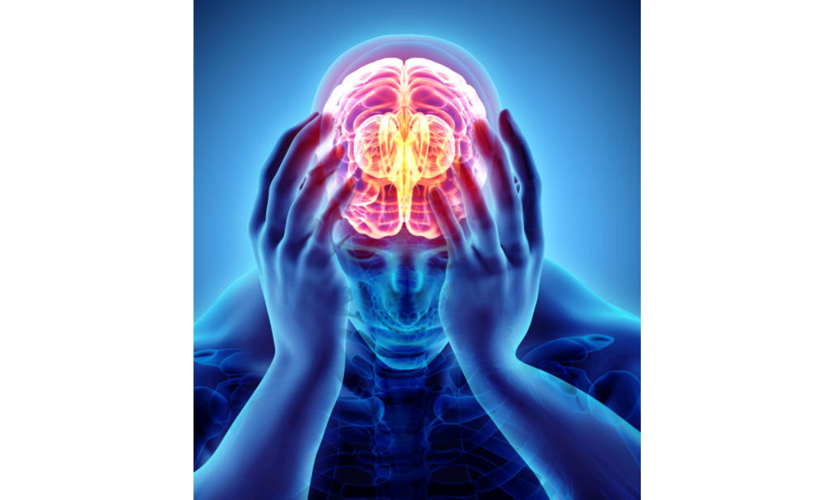 Científicos revelan hábito que afecta el cerebro.