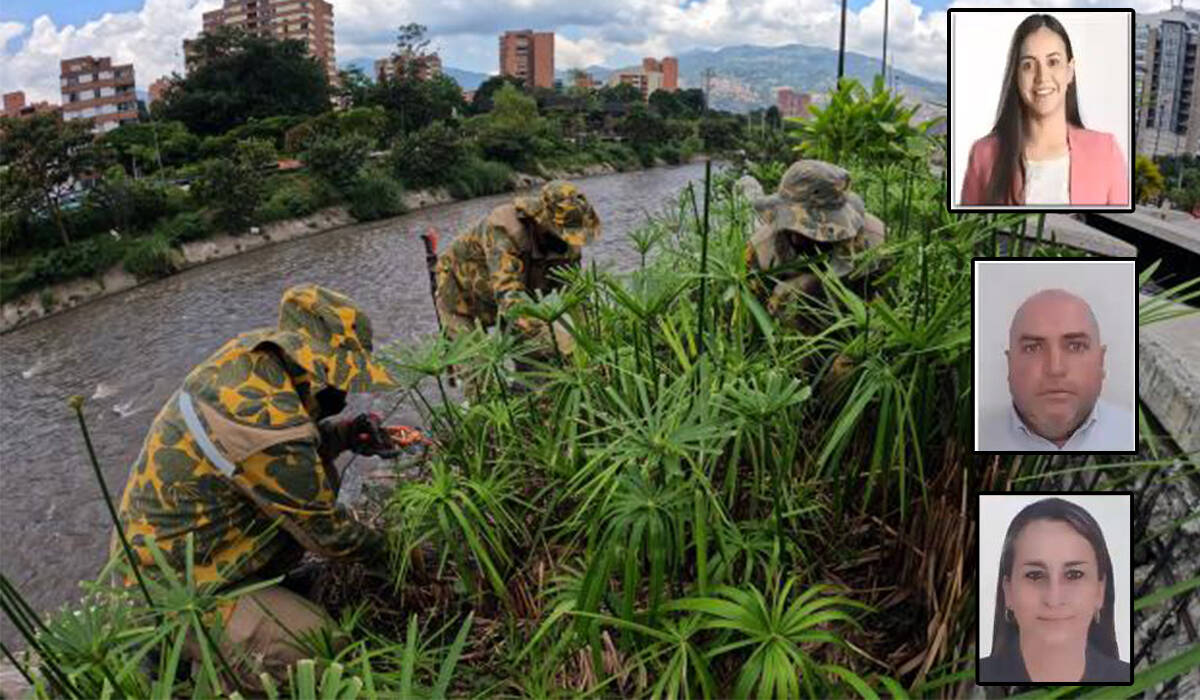 Los Imputados por El Cano Zonas Verdes en Medellín