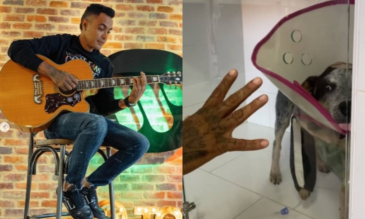 El Cantante Tiene Varias Mascotas.