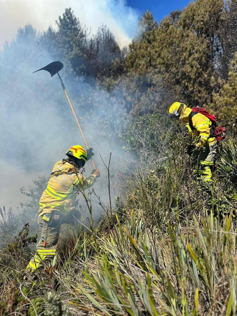 Video: Así Luchan Los Bomberos Y El Ejército Contra Fuerte Incendio En ...