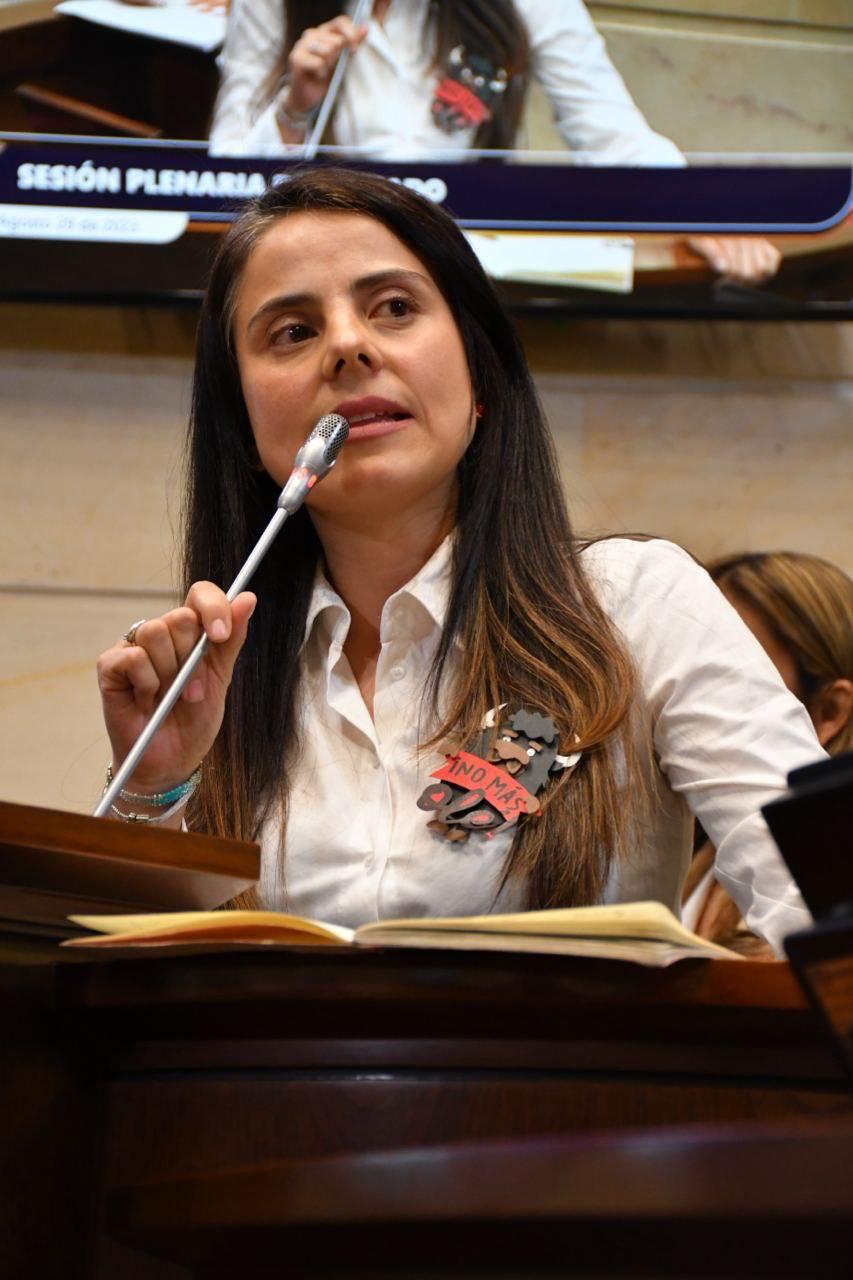 Esmeralda Hernández, senadora del Pacto Histórico