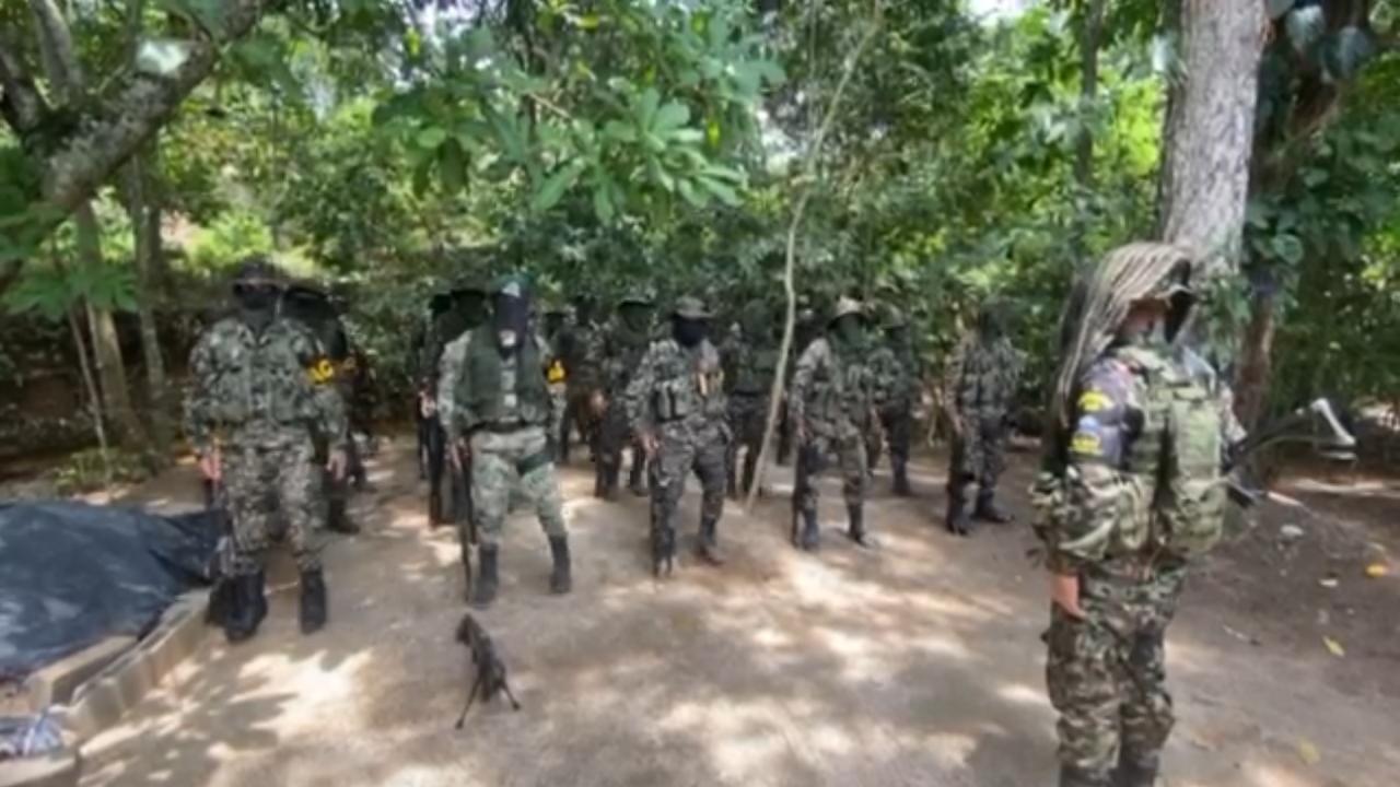 Las Autodefensas Conquistadoras de la Sierra Nevada