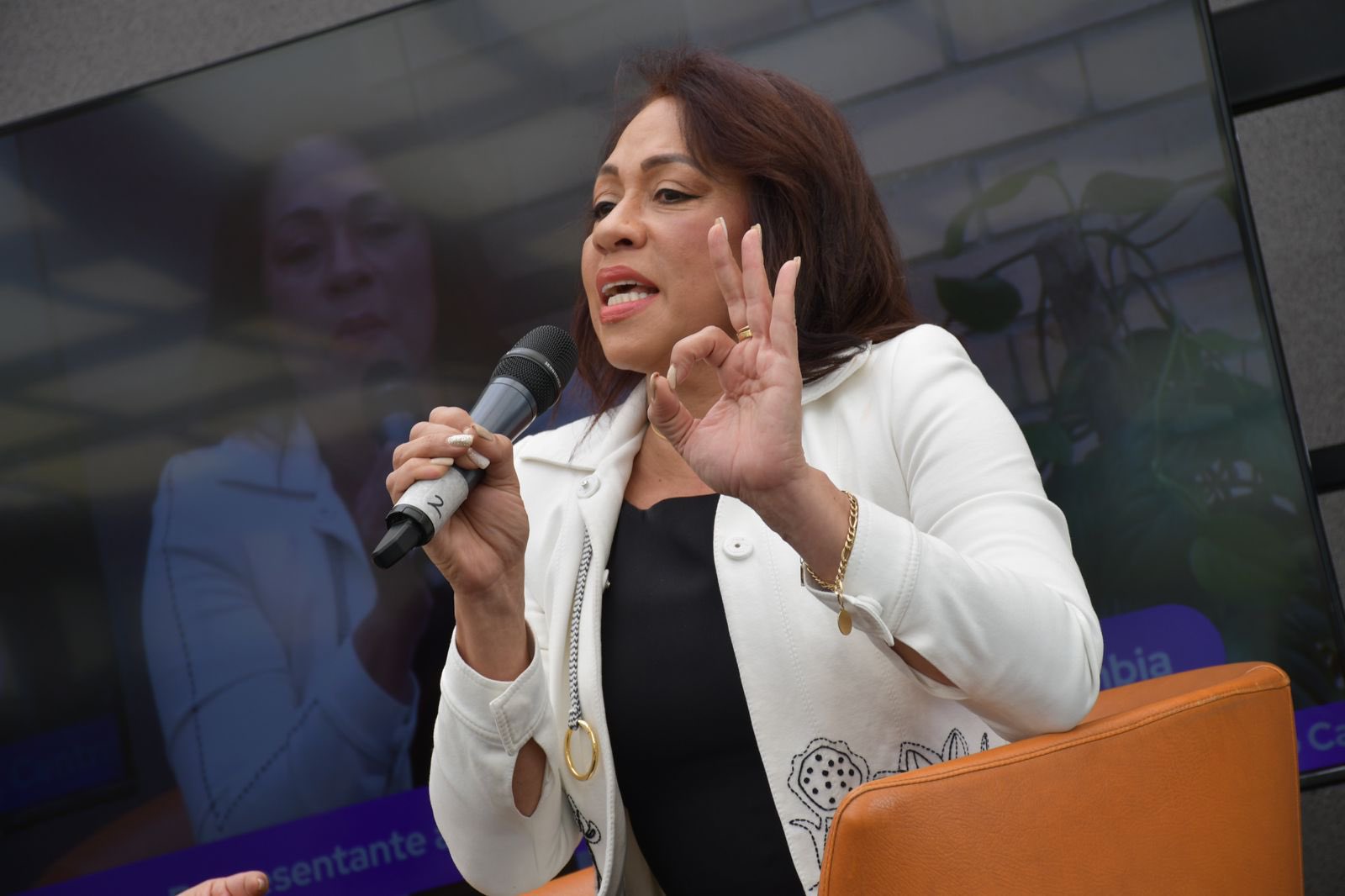 Marelen Castillo, representative a la Cámara