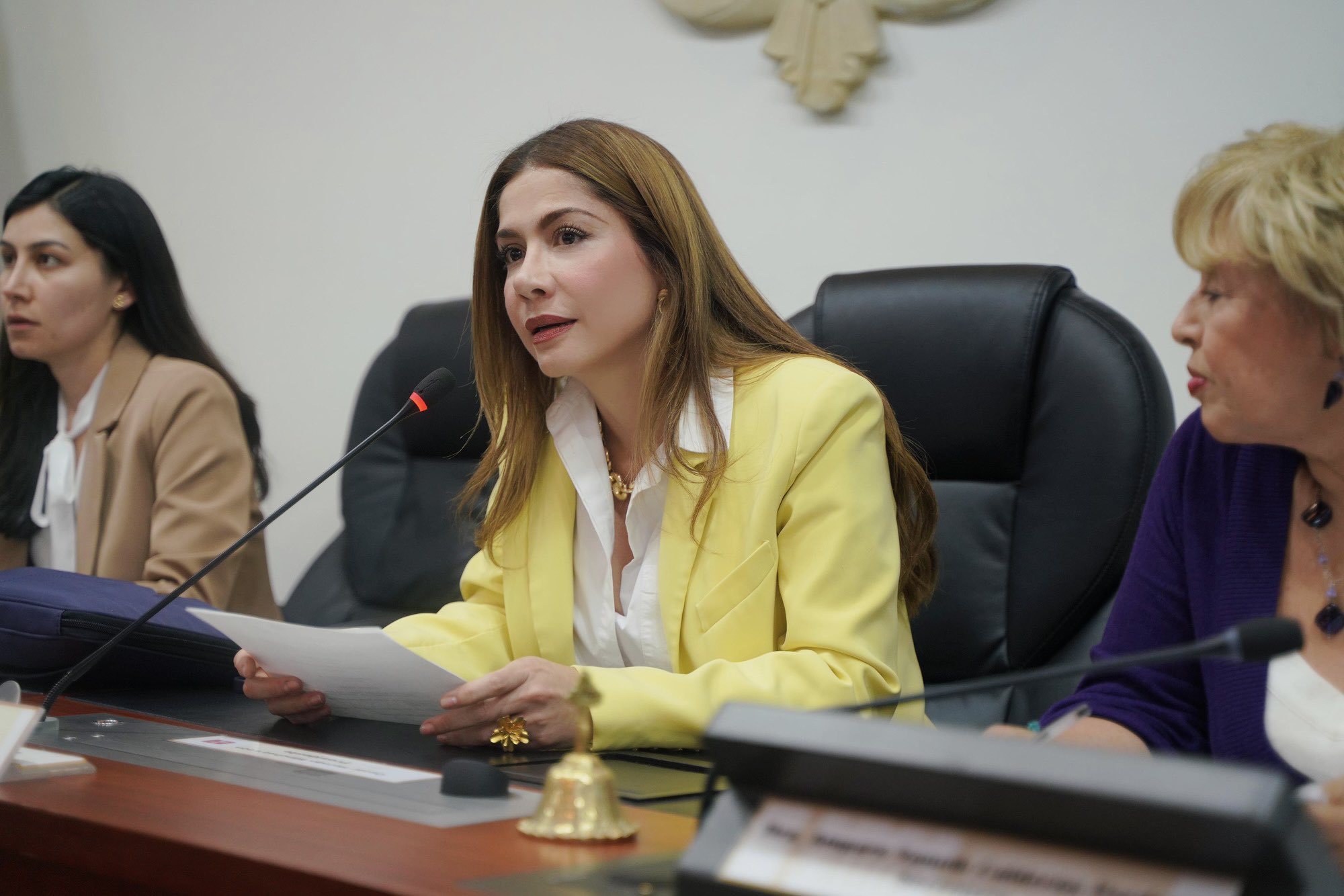 Catherine Juvinao, representante de la Alianza Verde