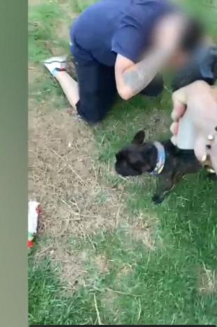 Bogotá'da Fransız bulldogu yüzünden düşen 'Aragua Treni' dosyasının Venezuela'daki suçları: Dosyada böyle yazıyor