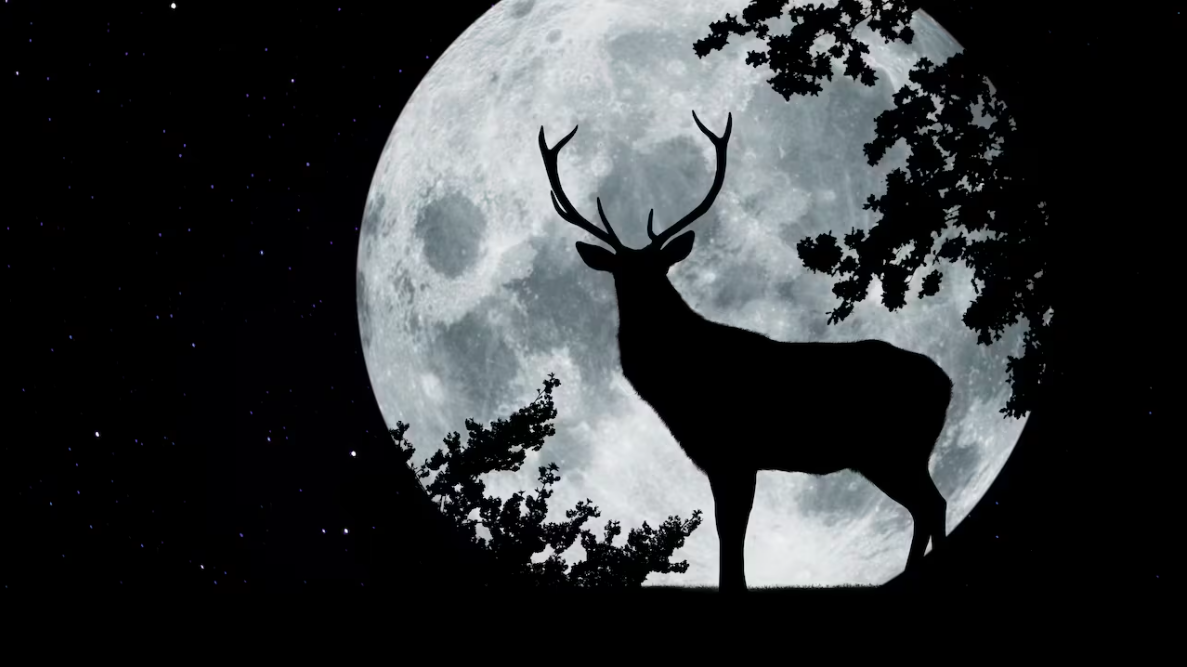 Este próximo domingo 21 de julio se podrá observar este fenómeno astronómico.