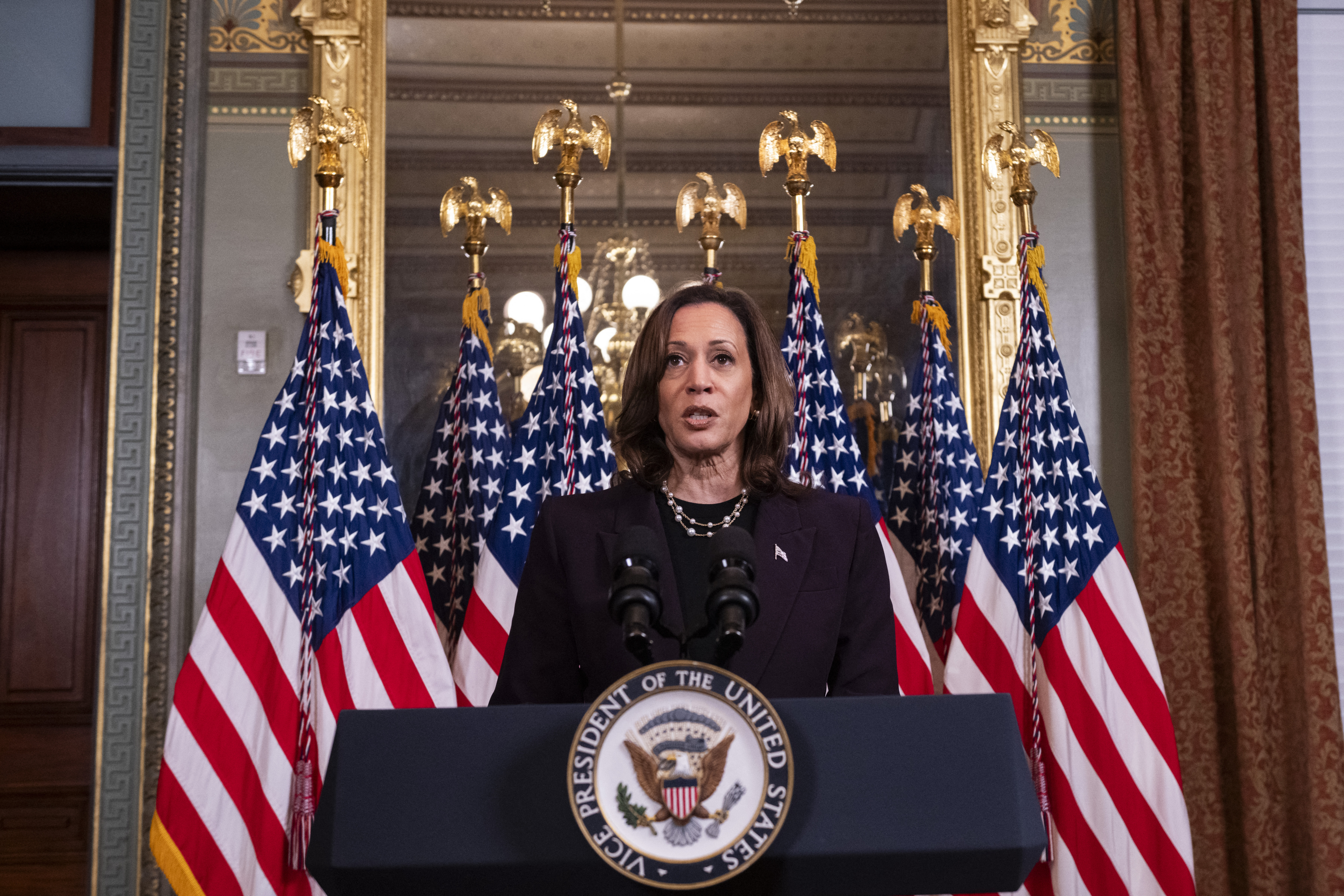 Vice President and presumptive Democratic presidential nominee Kamala Harris.