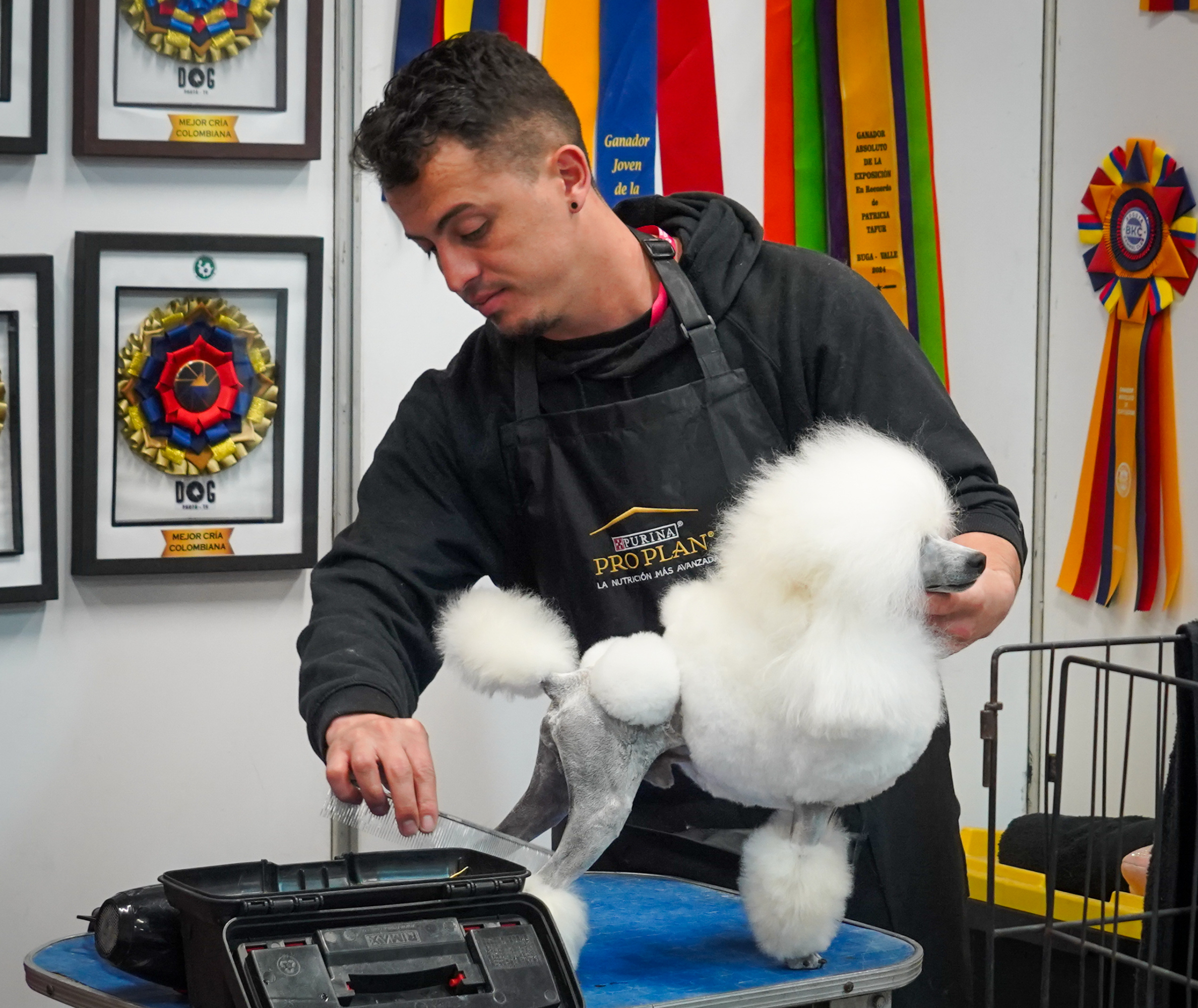 Continúa Expo PET 2024 En Corferias Con PresentAriones y Diferentes Actividadas para Lascotas Los Boguas Disfrutan Este Puente Festivo en el Centro Ferial. Bogotá 18 de Agosto del 2024 Foto Mauricio Moreno Ceet El Tiempo @mauriciomorebofoto