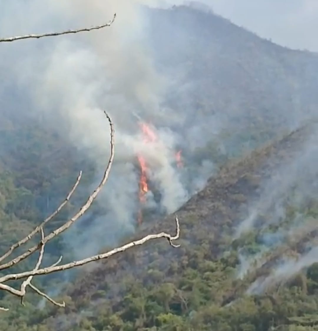 Incendios en el Tolima