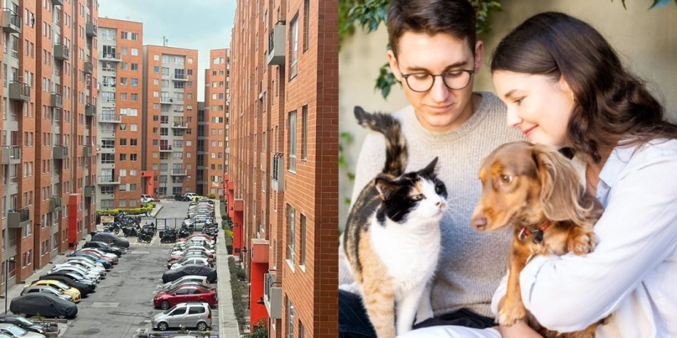 Mascotas en conjuntos residenciales.