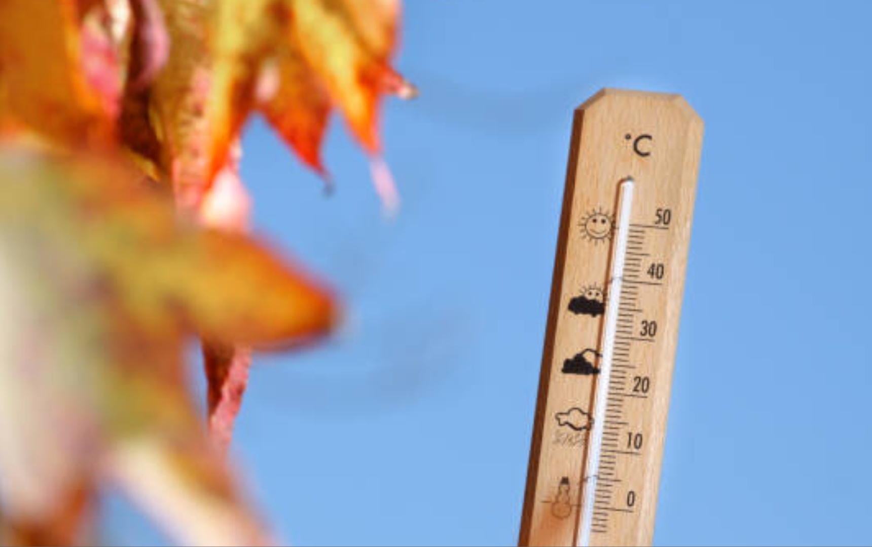 Clima de hoy en Florida: el pronóstico para el lunes 21 de octubre en ...