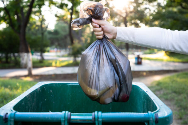 Imagen de referencia a buscar en la basura.