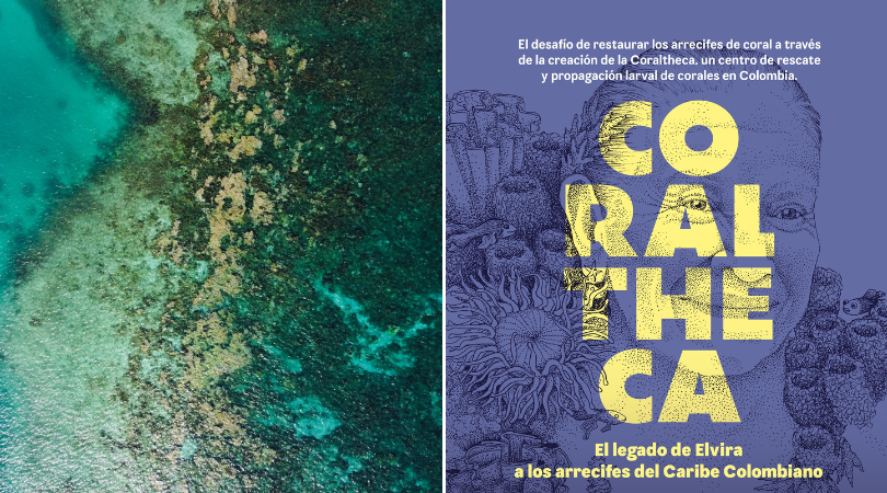 Toma Aérea de Corales Al Norte de Colombia - Póster Coraltheca