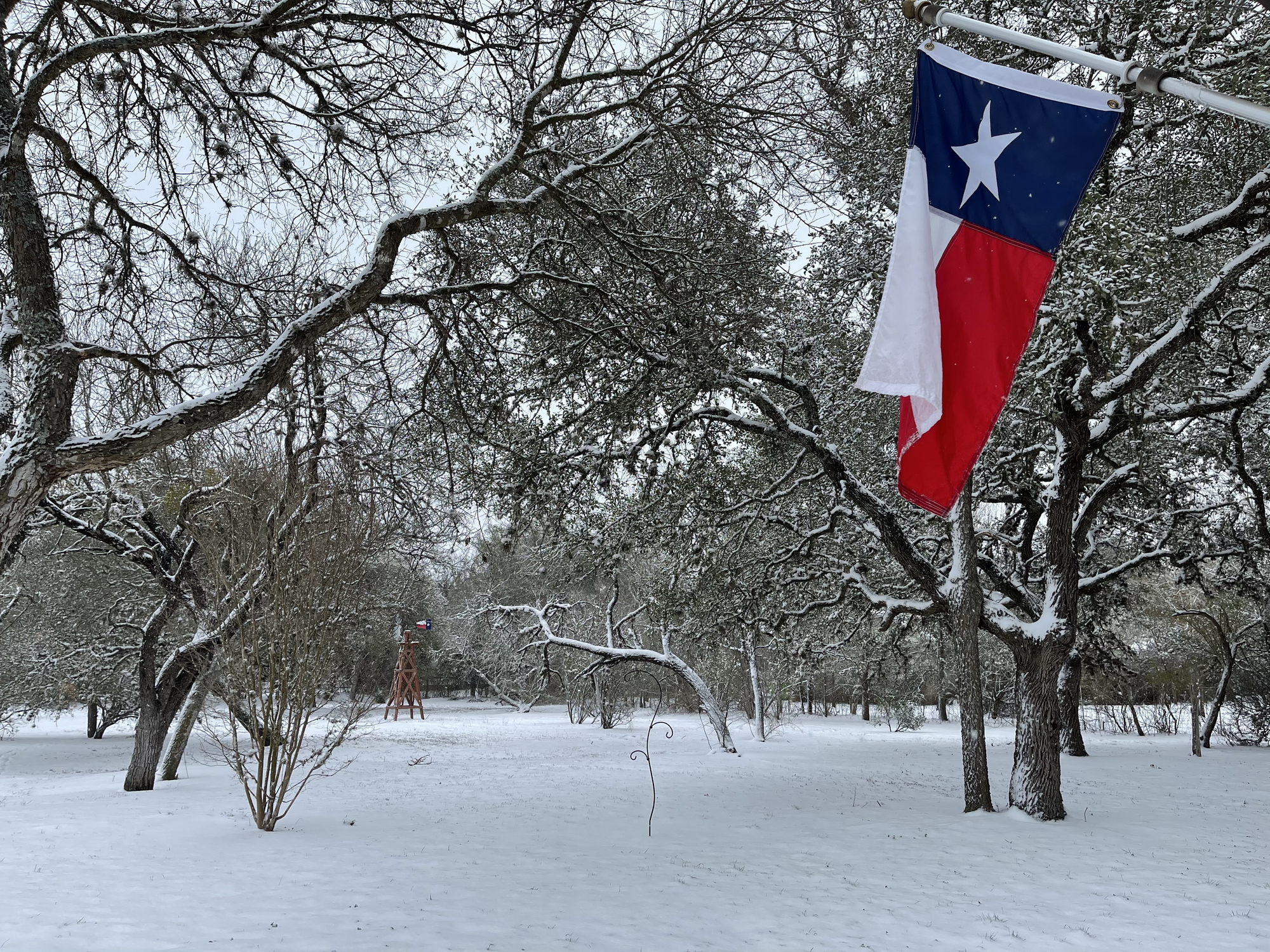 ¿Cómo será el invierno 20242025 en Texas? El pronóstico que debería