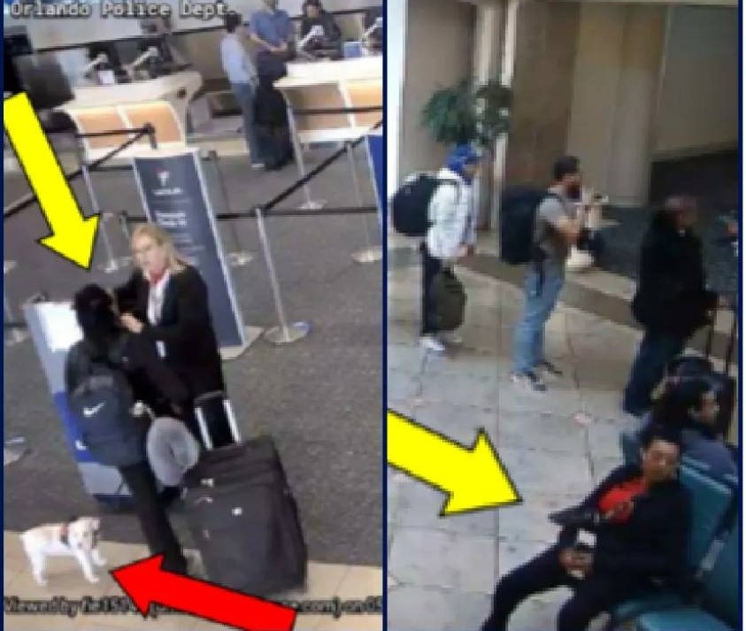 Mujer asesina a su perro en aeropuerto internacional de Orlando