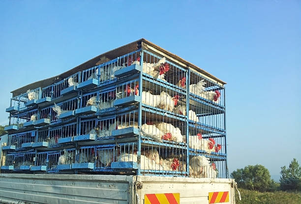 China suspende la importación de productos alimenticios