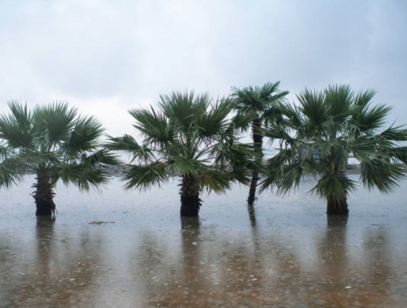 cambio climático