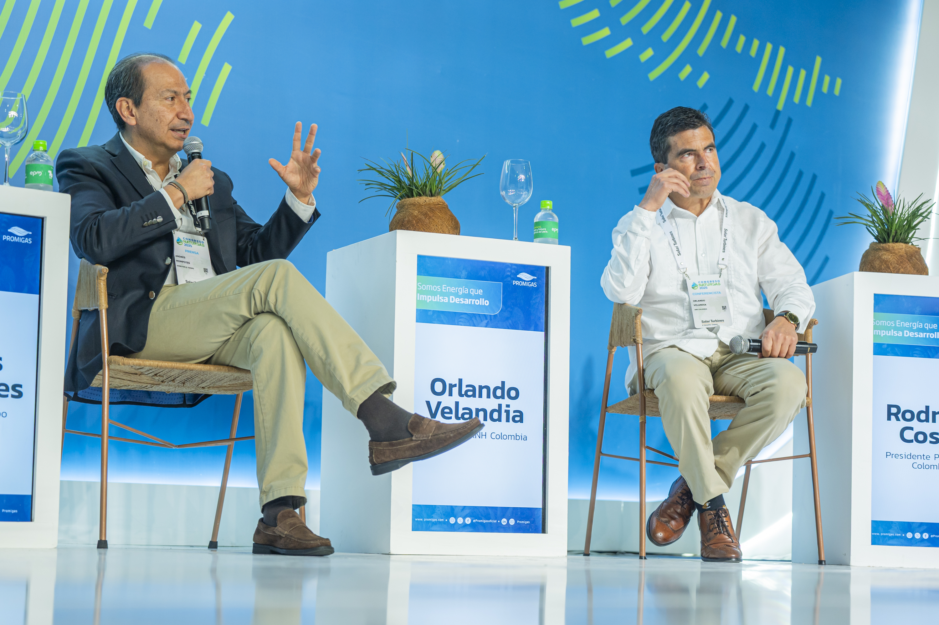 Presidente de la ANH, Orlando Velandia.