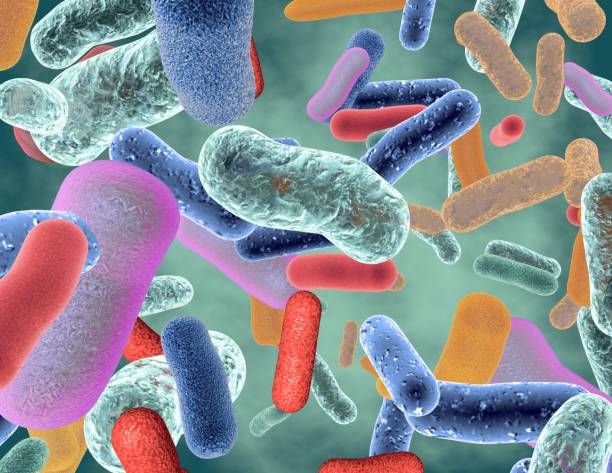 bacterias