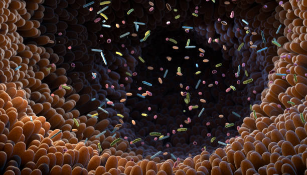 microbioma intestinal