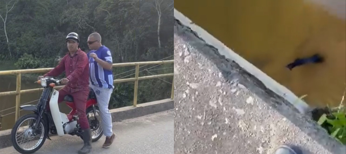 PERRO TIRADO A UN Río