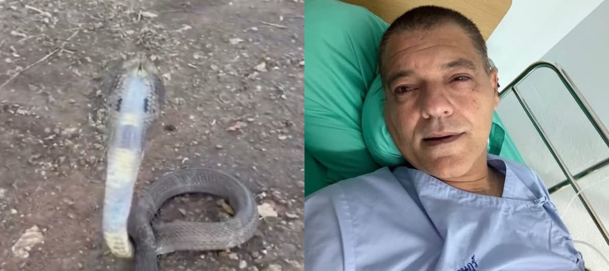 Ютубер подвергся нападению плюющейся кобры