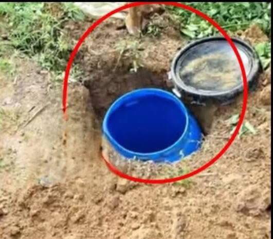 Caneca y hueco en la tierra que, supuestamente, el hombre hizo en su finca para dejar el cuerpo luego de atacar a la menor.