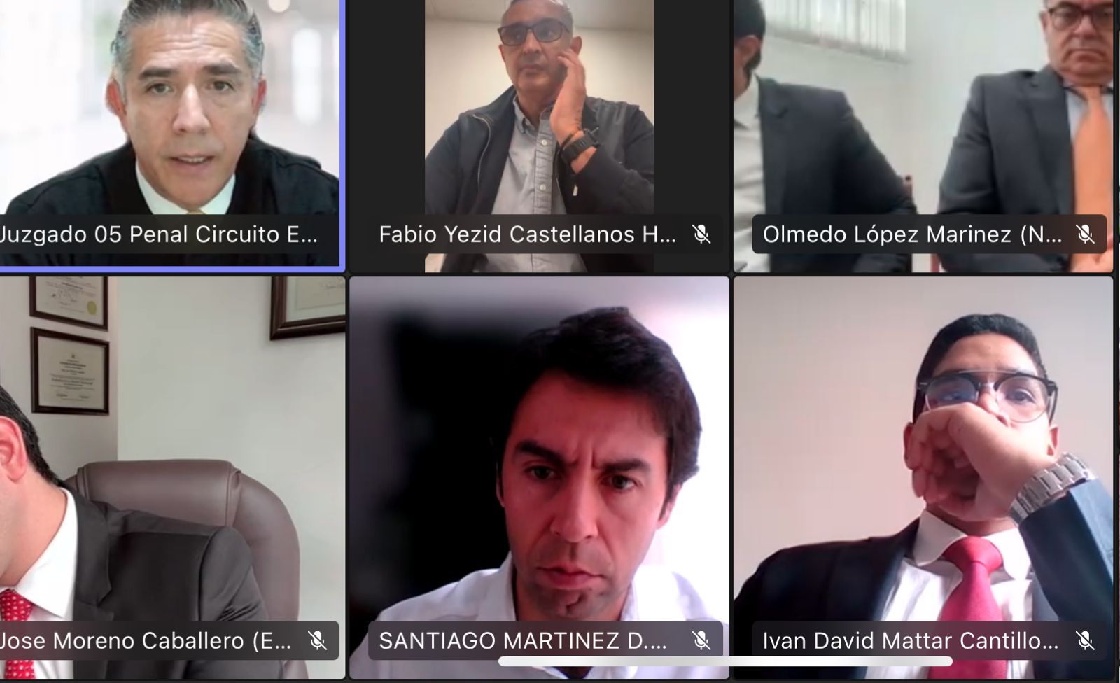 Audiencia de Olmedo López.