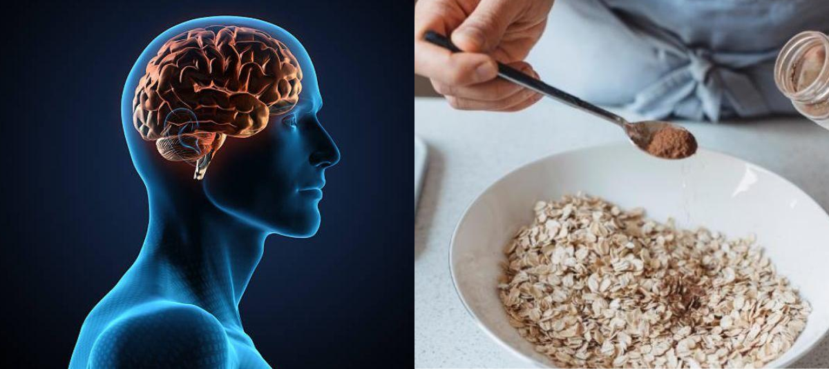 Este es el mejor cereal para el cerebro: fortalece la memoria, mejora la concentración y el rendimiento mental sostenido
