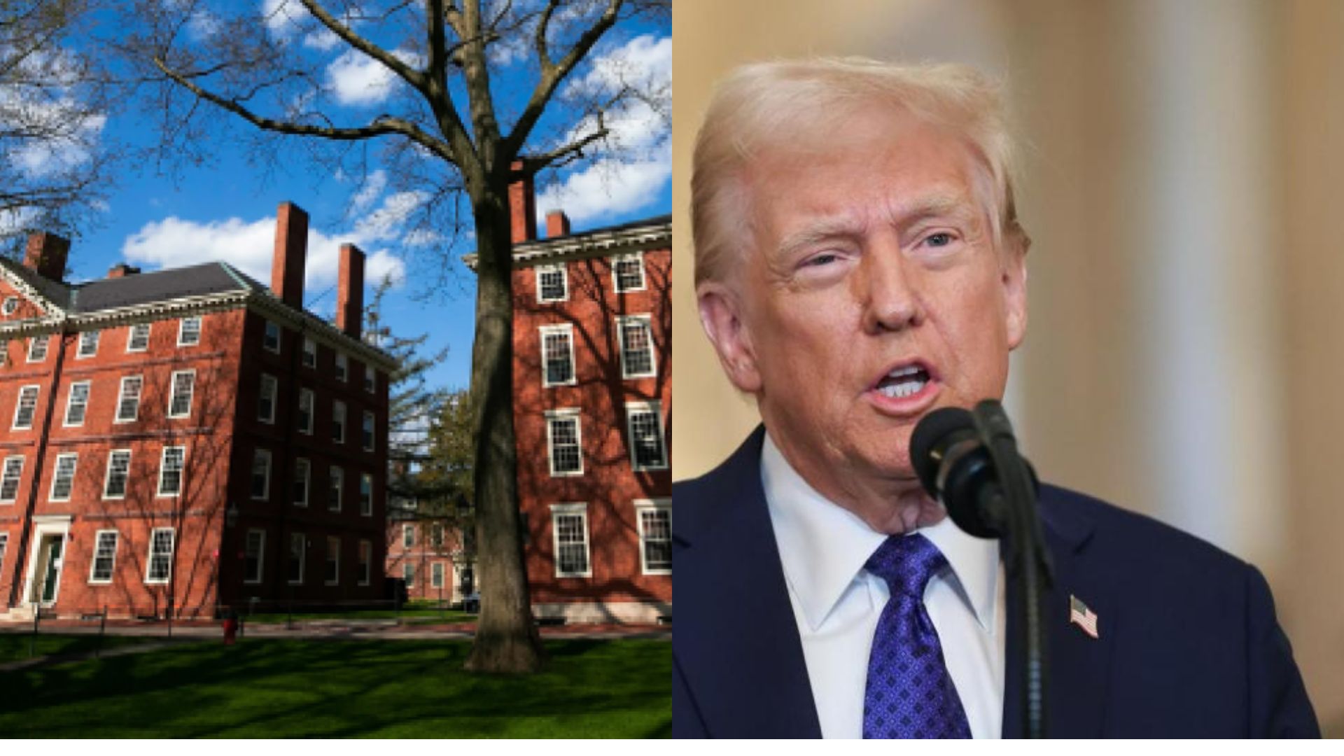 Trump donal