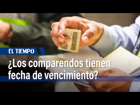 ¿Los #comparendos tienen vencimiento y se pueden apelar? Esto dice la ley en Colombia | El Tiempo