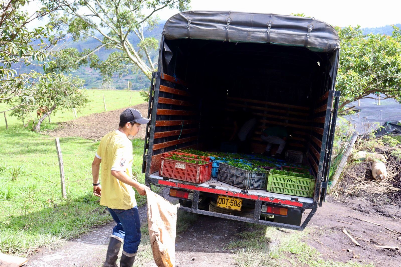 Flota de camiones de Cundinamarca