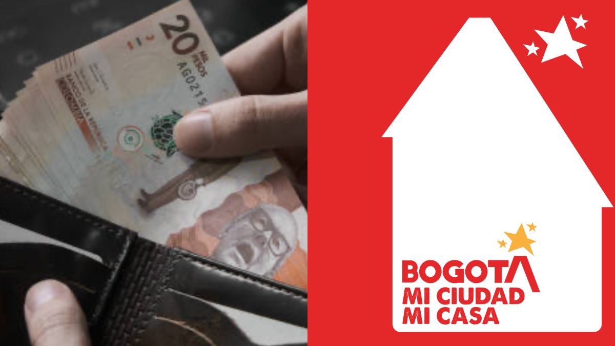 PREDIVE BOGOTÁ