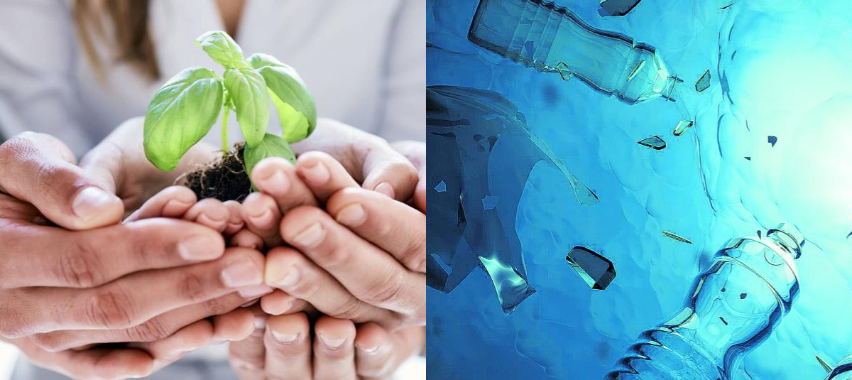 La química sostenible toma fuerza: biobasados emergen como tendencia global en Colombia