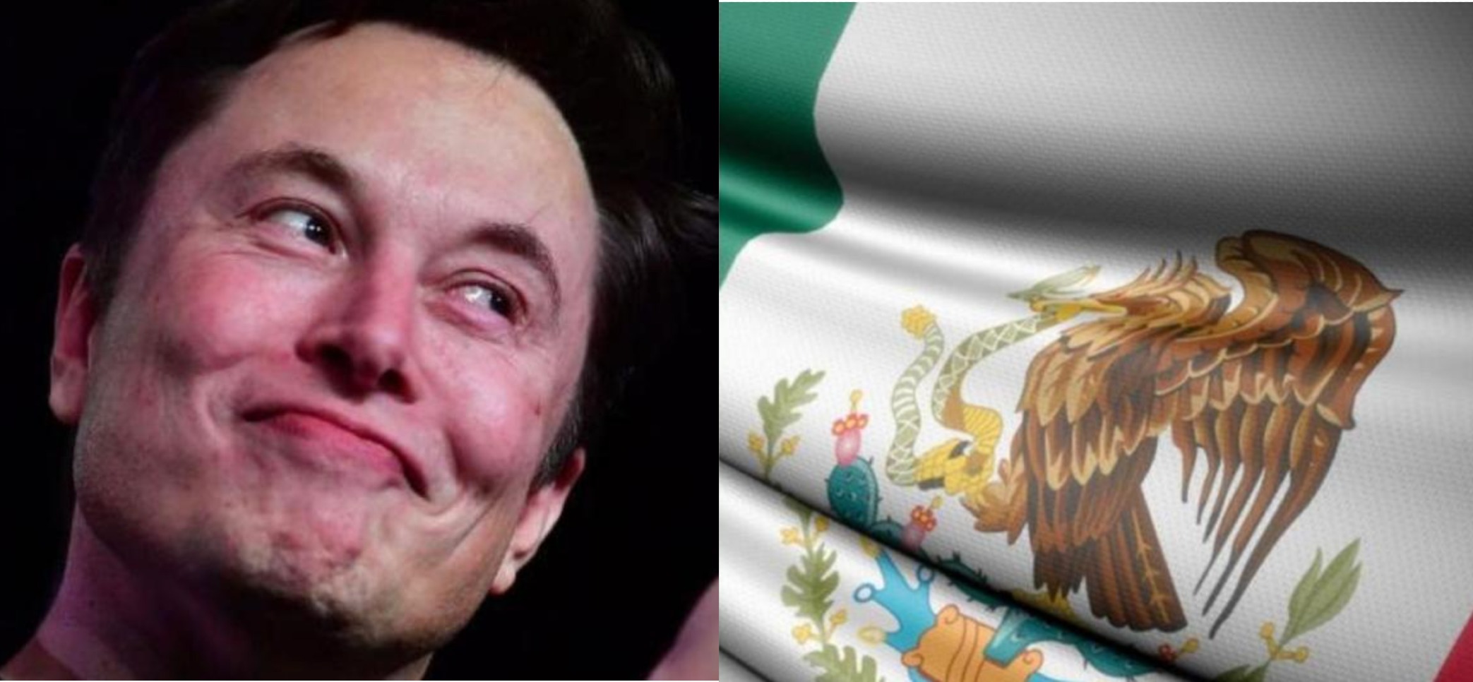 Elon Musk Tomó una postura contundente ante está Situación.