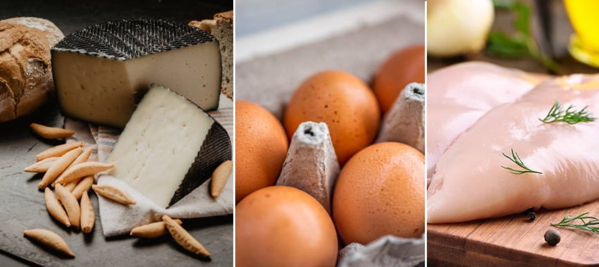 alimentos