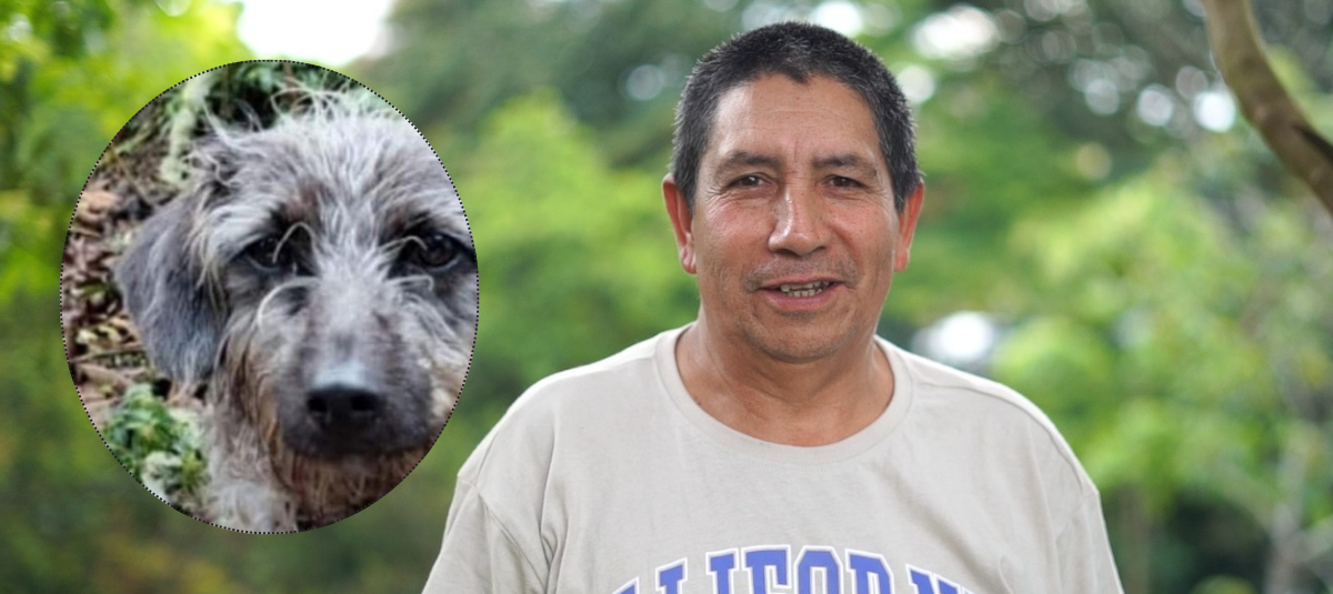 LUEGO DE CUATRO DÍAS DE BUSQUEDA DEL VIGIA Ambiental, Pedro José Gallego, Que Había Desaparecido El Pasado Viernes 13 de Junio ​​en Zona Rural de Calarcá, Los Organismos de Socorro Informaron que lo controntraron sin Vida en un paraga rural del quindiar.