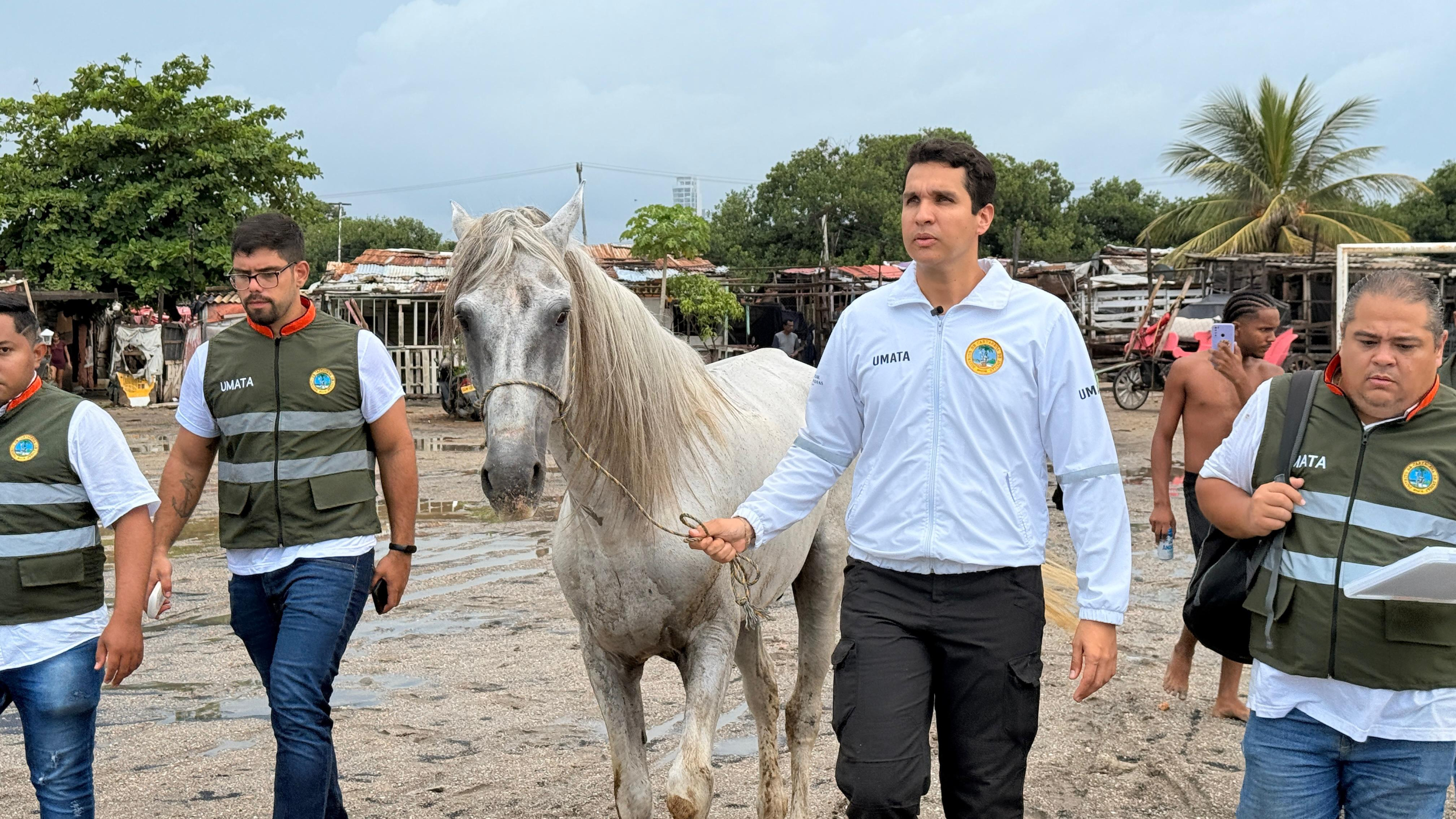 Umata de Cartagena rescata Caballo que era Maltratado