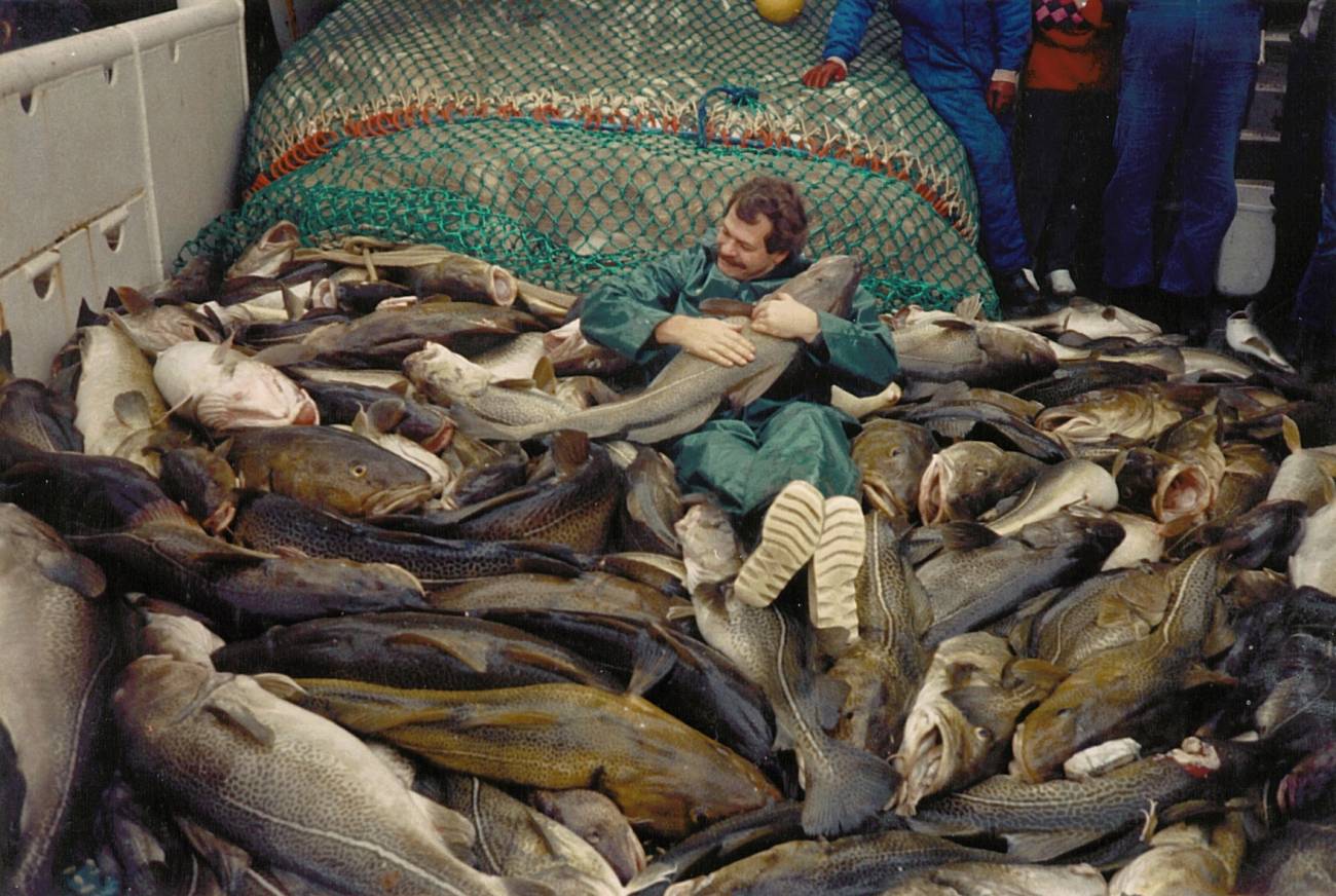 Bacalao