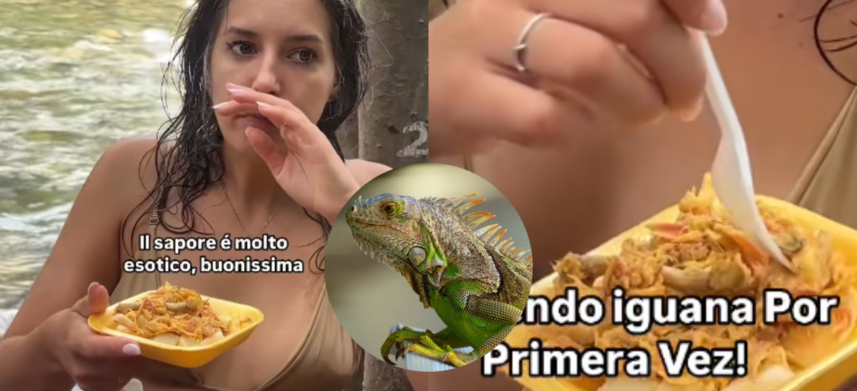 Mujer Italiana Comió Iguana